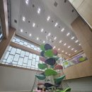 흥 소프트 이미지