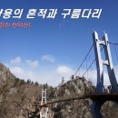 강진5호 Daum카페