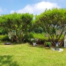 한수목장 이미지