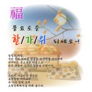 연우치과 Daum카페