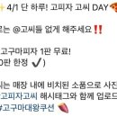 고피자대치 이미지