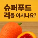 키모마트 | 걱(Gac) 과 동남아과일 암 예방과 건강에 미치는 놀라운 효능!