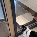 토닥토닥동물병원 이미지