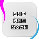 진해구 근처 카페트 청소 세탁 추천 잘하는곳 전문...청소기 카본매트 타일 비용 후기 이케아 습식 대형