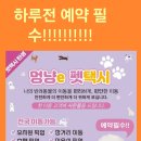 멍냥 펫택시 이미지