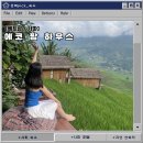 사파 에코팜 하우스 : 천국이 있다면 여길까...? / 방갈로, 수영장, 조식 후기