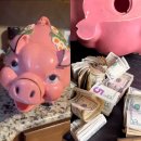 돼지저금통 이미지