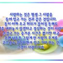 바른국제특허법률사무소