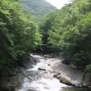 구천동1로 이미지