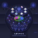 팀코스모스