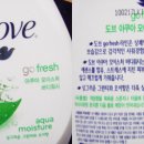 아쿠아후레쉬 Daum카페