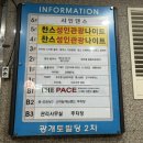 찬스성인나이트