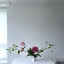 세희플라워