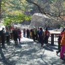 비선대만남의광장 이미지