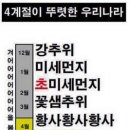 4 계절 이미지