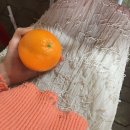 소산미나리농원 이미지