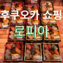요도 | 후쿠오카 쇼핑 추천 - 로피아 마트 하카타 요도바시점 후기(주의사항)