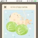 막창사랑 이미지