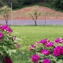 심곡정미소 이미지