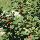 만물농원 이미지