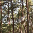 산골여행