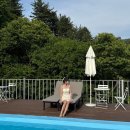 연화도감 가동 이미지