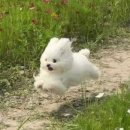 급작스러운 충동구매 | 올리브영 털어온 내돈내산 후기