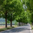 봉강마을회관 이미지