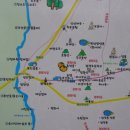 광령귤나무 이미지