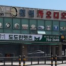 도도한 펫츠 이미지