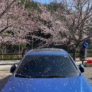 근덕목욕탕 이미지