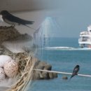 산수휘트니스 이미지