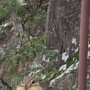 설악산 비룡폭포 에서 이미지
