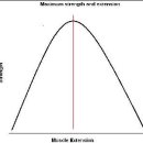 생체역학 (Biomechanics)과 정사론 이미지