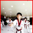 고려강호 태권도 이미지