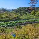 훈 농장 이미지