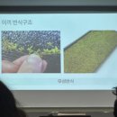 한국발포유리(주) | 한국창작협회X한국석부작분경협회X케빈플랜츠 공동 워크샵 다녀온 후기 !