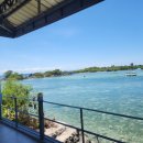 퍼플오션 | [필리핀/세부]체험다이빙 솔직 후기! 퍼플오션다이브에서 만난 정어리떼와 조금 아쉬웠던 친절