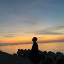 장은리1농장 | 굴여행!! 보령 데이트 코스 정리해드림(천북굴단지, 우유창고)