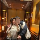 소호로R | 성 도미니크 , 성 바울 성당 , 원딤섬, 타이청 베이커리, 덩라우벽화, 소호, 카우키, 란퐁유엔, 피크 트램