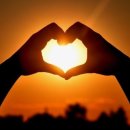 행복하시개 이미지