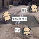 흑염소토속마을 - 동구 | 흑염소토속마을