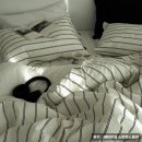 라인호텔 이미지