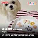 데일리로(DailyRo) 이미지