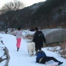 우리집빙고