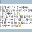핀 독 이미지