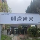 예슬헤어 - 거창군 | 예슬쌀롱 헤어,광주화정동미용실 후기 한눈에 보기