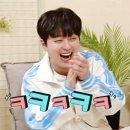 복슬강아지 이미지