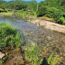 반석이네농장 이미지