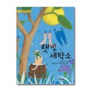 햇빛세탁소 이미지